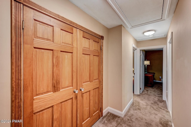 hallway featuring light colored carpet