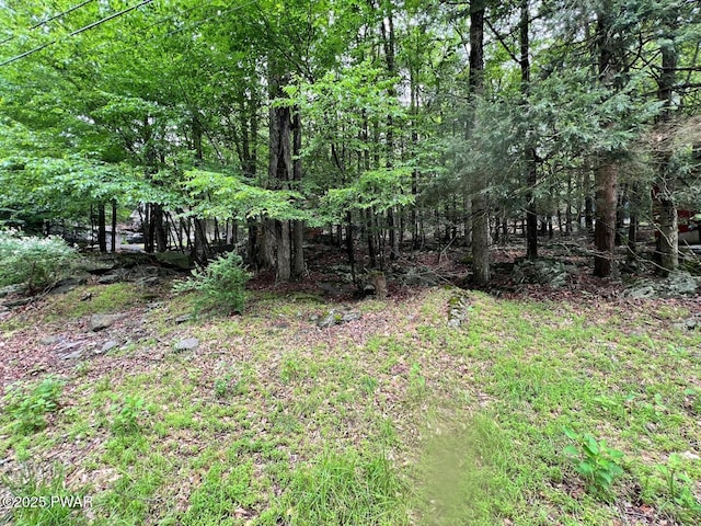 75 Beaver Lake Dr, Lake Ariel, PA 18436