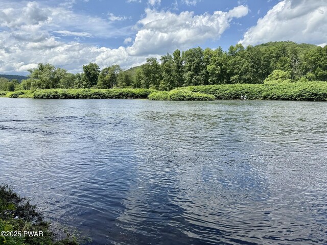 498 Penn York Rd, Starlight, PA 18461 - water view
