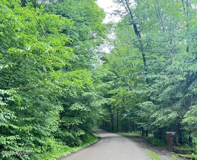 498 Penn York Rd, Starlight, PA 18461 - view of street featuring a forest view