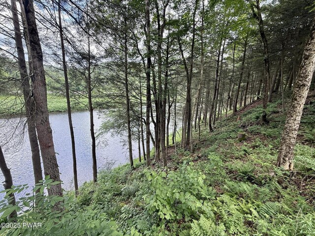 498 Penn York Rd, Starlight, PA 18461 - water view featuring a forest