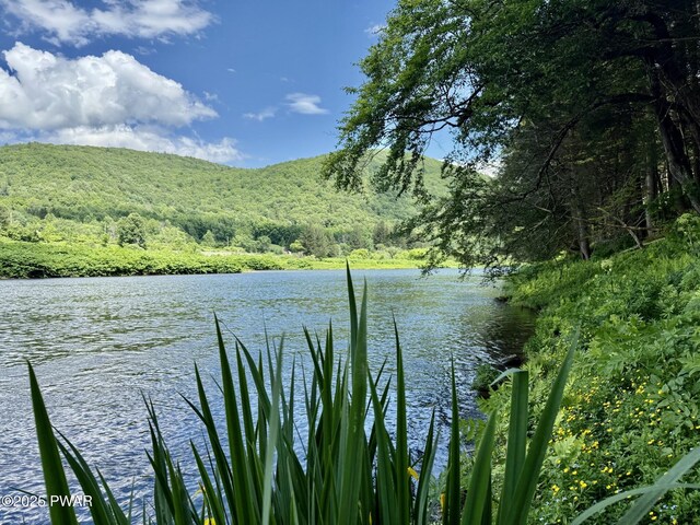498 Penn York Rd, Starlight, PA 18461 - water view featuring a forest