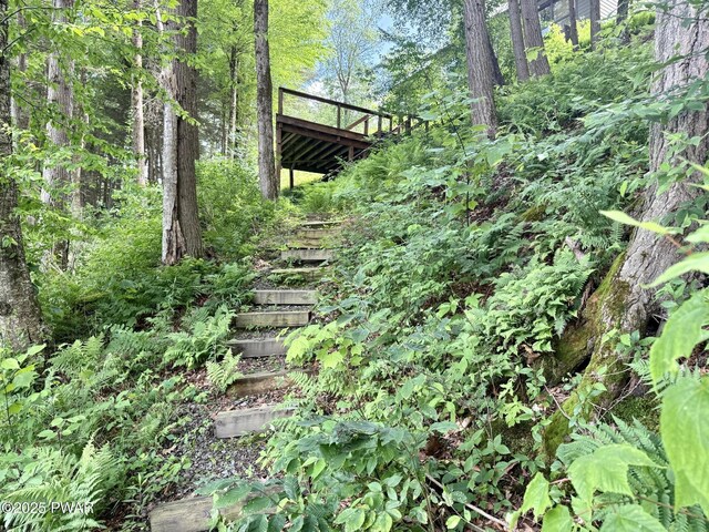 498 Penn York Rd, Starlight, PA 18461 - view of yard