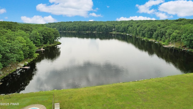 132 S Shore Dr, Milford, PA 18337 - photo 28