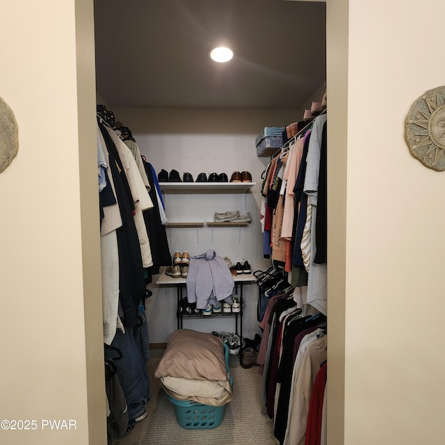 344 Canoebrook Dr, Lords Valley, PA 18428 - walk in closet with carpet floors