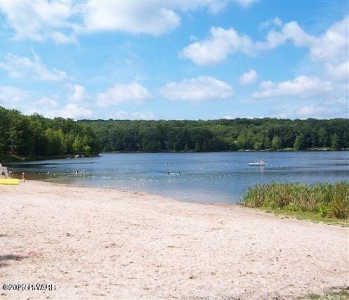 344 Canoebrook Dr, Lords Valley, PA 18428 - water view with a forest