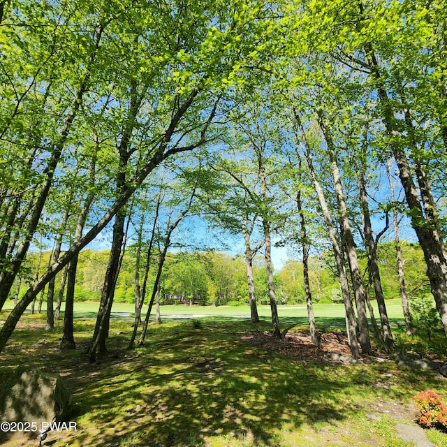 344 Canoebrook Dr, Lords Valley, PA 18428 - view of yard with view of scattered trees