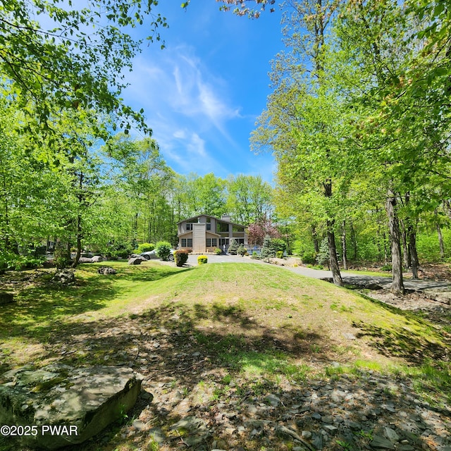 344 Canoebrook Dr, Lords Valley, PA 18428 - view of green lawn