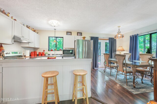 103 Westfall Dr, Dingmans Ferry, PA 18328 - kitchen with under cabinet range hood, appliances with stainless steel finishes, plenty of natural light, dark wood-type flooring, and a textured ceiling