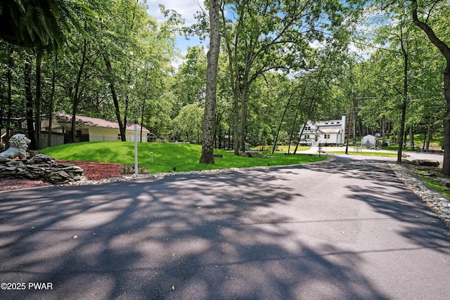103 Westfall Dr, Dingmans Ferry, PA 18328 - view of asphalt driveway