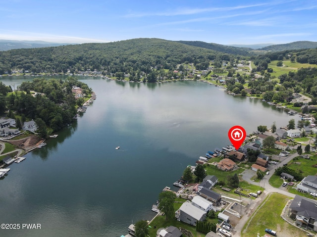 327 Marina Ln, Factoryville, PA 18419 - photo 73