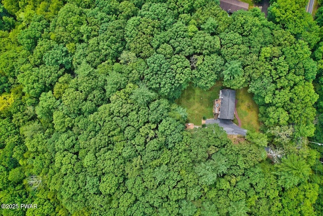 142 Myck Rd, Dingmans Ferry, PA 18328 - aerial overview of property's location