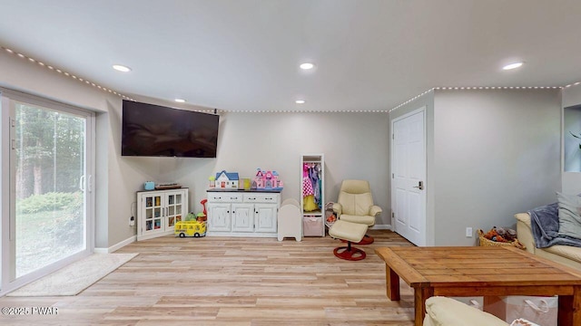 142 Myck Rd, Dingmans Ferry, PA 18328 - playroom with light wood-style floors and recessed lighting