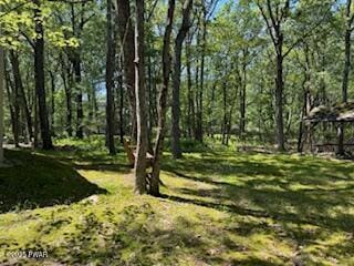 142 Myck Rd, Dingmans Ferry, PA 18328 - view of yard
