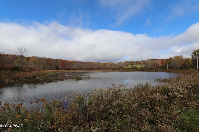 property view of water