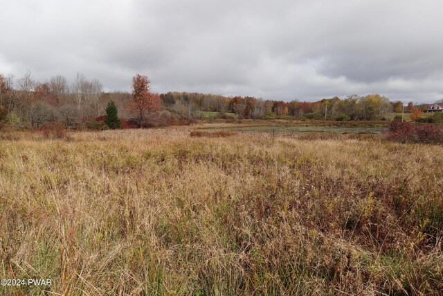 view of local wilderness featuring a rural view