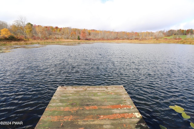 view of dock with a water view