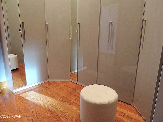 bathroom featuring hardwood / wood-style floors