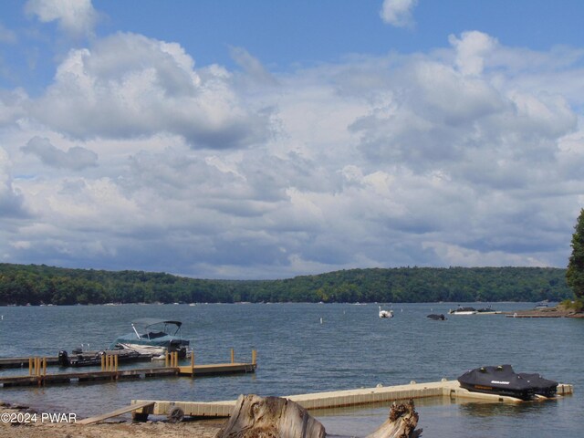 exterior space with a dock