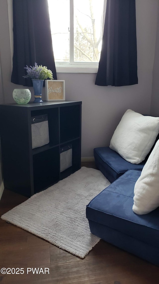 living area featuring hardwood / wood-style flooring