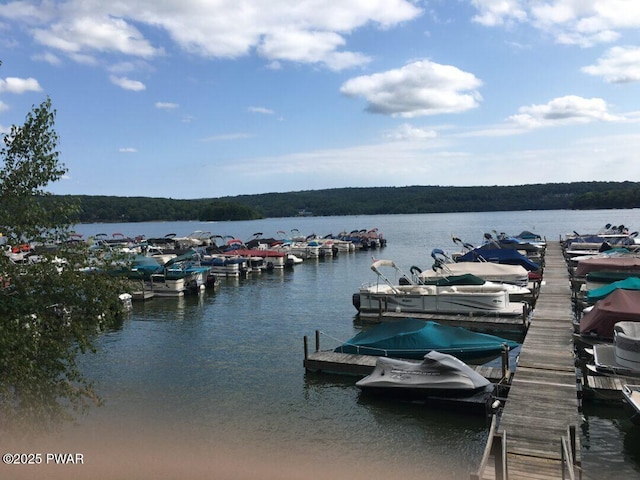 view of dock featuring a water view