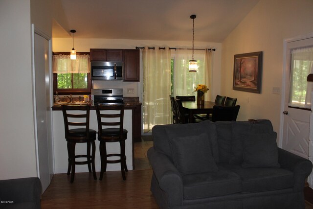 living room featuring dark hardwood / wood-style floors, a healthy amount of sunlight, lofted ceiling, and sink