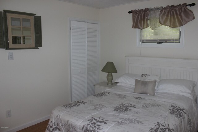 bedroom with a closet and wood-type flooring