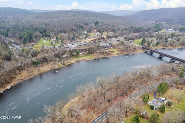 111 Delaware Dr, Lackawaxen, PA 18435 - photo 43