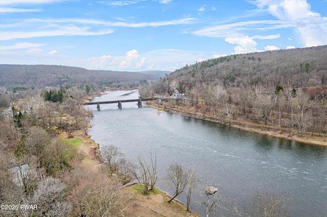 111 Delaware Dr, Lackawaxen, PA 18435 - photo 44