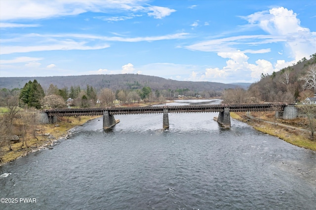 111 Delaware Dr, Lackawaxen, PA 18435 - photo 41
