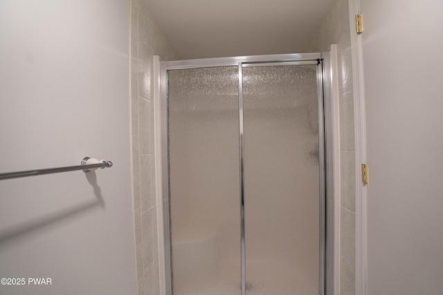 1111 Advent Rd, Lake Ariel, PA 18436 - full bathroom featuring a stall shower