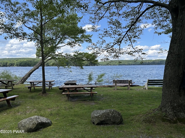 112 N Maple Ln, Greentown, PA 18426 - view of home's community with a water view and a lawn