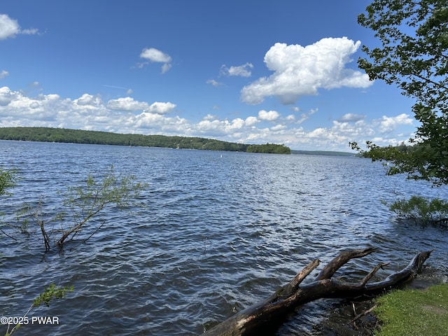 112 N Maple Ln, Greentown, PA 18426 - water view