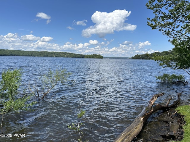 112 N Maple Ln, Greentown, PA 18426 - water view