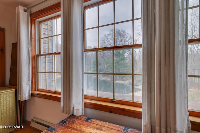 1199 Avoy Rd, Lakeville, PA 18438 - detailed view of a baseboard radiator
