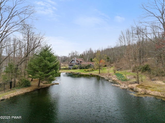 1199 Avoy Rd, Lakeville, PA 18438 - water view