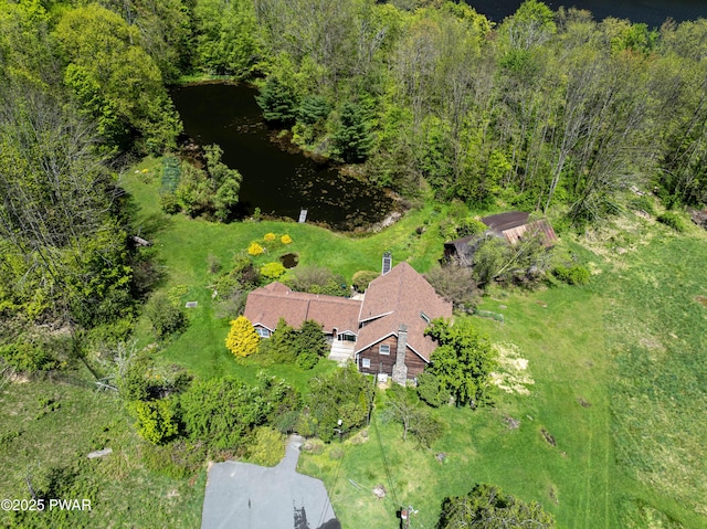1199 Avoy Rd, Lakeville, PA 18438 - view from above of property