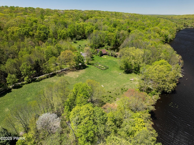 1199 Avoy Rd, Lakeville, PA 18438 - bird's eye view of a heavily wooded area and a nearby body of water