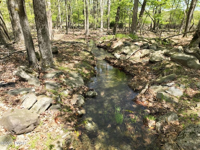 Bennett Ln, Milford, PA 18337