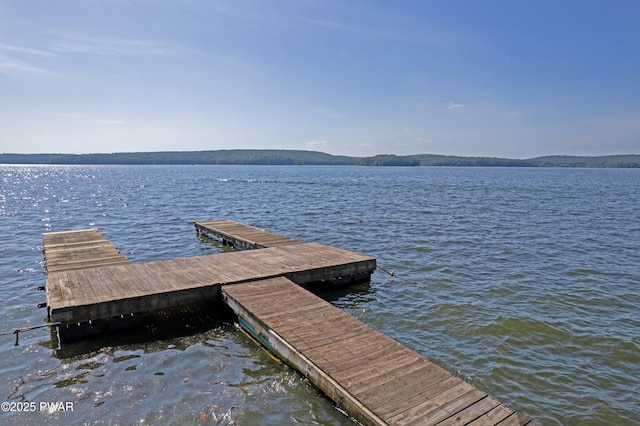 129 Timber Ln, Tafton, PA 18464 - dock area featuring a water view