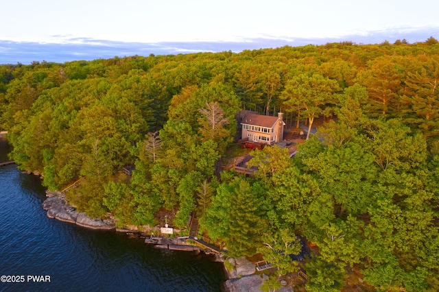 129 Timber Ln, Tafton, PA 18464 - aerial view of property and surrounding area featuring a large body of water and a heavily wooded area