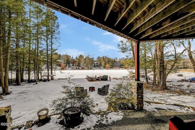 view of yard covered in snow