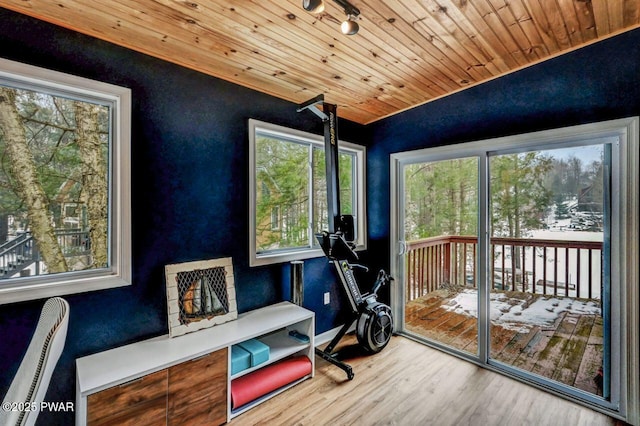 interior space featuring rail lighting, wooden ceiling, and light wood-type flooring