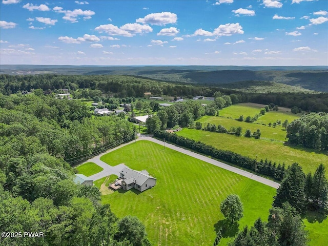 11 Coyote Rdg, Hawley, PA 18428 - view of rural area with a heavily wooded area