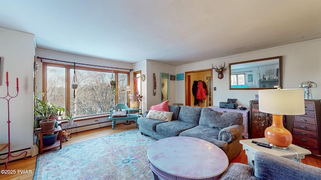 living area featuring wood finished floors