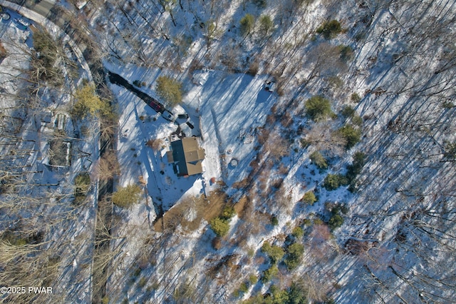 view of snowy aerial view