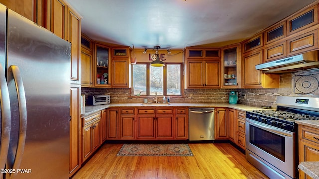 kitchen featuring light wood-style flooring, stainless steel appliances, light countertops, under cabinet range hood, and a sink