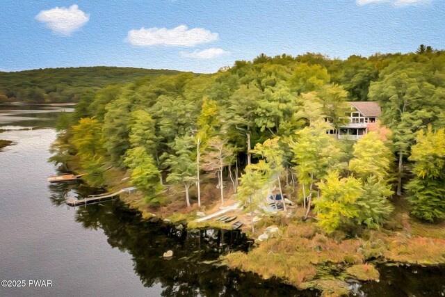 307 Powderhorn Dr, Lackawaxen, PA 18435 - photo 63