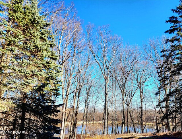 view of water feature with a wooded view