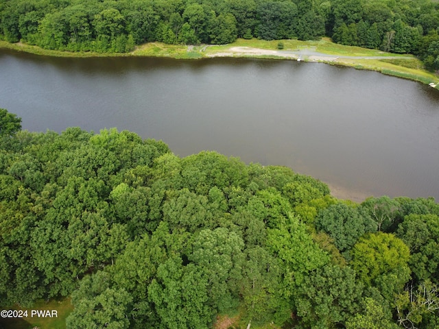 bird's eye view with a wooded view and a water view